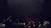 New Zealand Concert GIF by Sub Pop Records