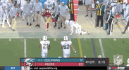 San Francisco 49Ers Football GIF by NFL