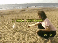 Vhs GIF by tomafotograaf