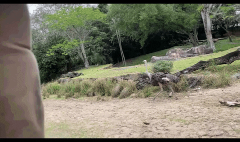 lesleywake giphyupload GIF