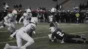 Sport Bobcats GIF by Texas State Football