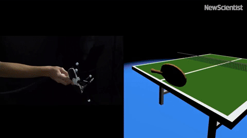 Badminton Funny Clips - Find & Share on GIPHY