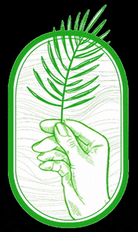 Weed Plant GIF by Olive Partners