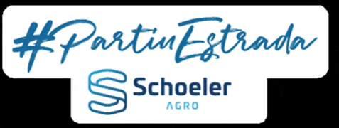Pig Suino GIF by Schoeler Agro