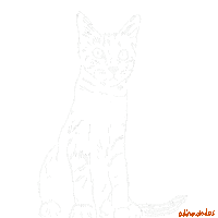 White Cat Sticker