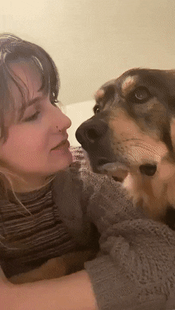 giffunme giphyupload GIF