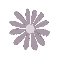 laelleci new instagram flower new post Sticker