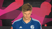 Schalke S04 GIF by Bundesliga