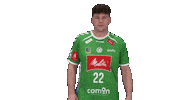 Handball Gwdminden Sticker by GWD Minden Handball-Bundesliga GmbH & Co.KG