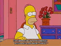 homer simpson GIF