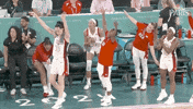 Olympic Games Sport GIF by NBC Olympics