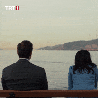 Tolga Saritas Istanbul GIF by TRT
