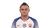 Slovakia Sticker by Slovensky futbalovy zvaz