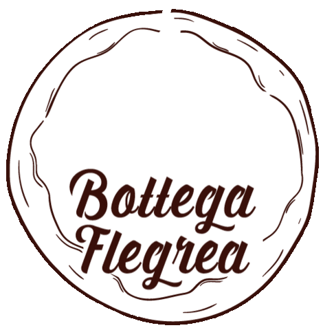 BottegaFlegrea giphyupload pizza torino vesuvio Sticker