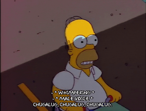 homer simpson GIF