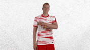 No Problem Football GIF by RB Leipzig