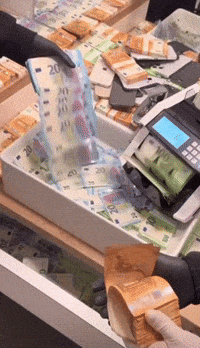 Euros GIF by systaime