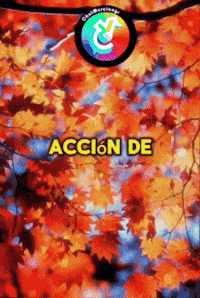 Damos Mi Corazon GIF by Murcianys LLC