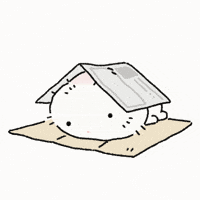 Nac GIF