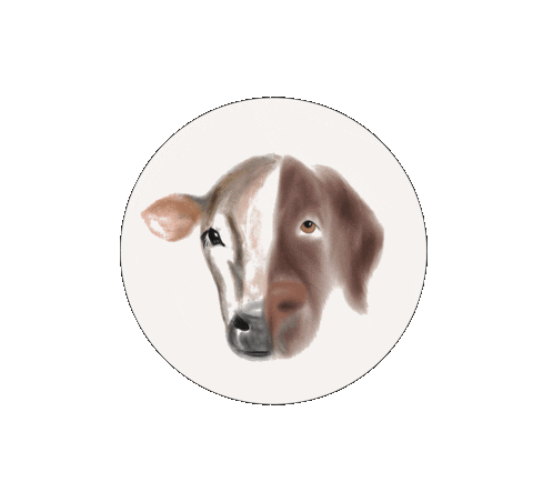 Dog Cooking Sticker