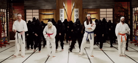 ninja dancing GIF by Walk Off The Earth  