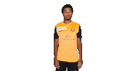 Sene Sticker by Meyrin FC