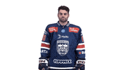 Celebration GIF by Fehervar AV19