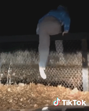 Friday Vibe GIF by TikTok France