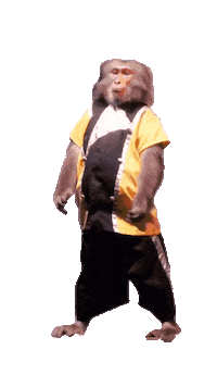 Fun Monkey Sticker