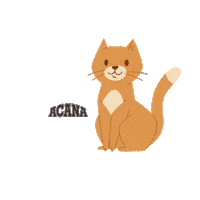 WonderfoodACANA cat thank you thanks gatto Sticker