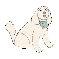 Dog Sticker Sticker by Parachute