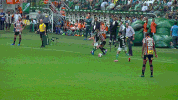 cobertura dudu GIF by SE Palmeiras