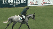 FEI_Global reaction happy sport horse GIF