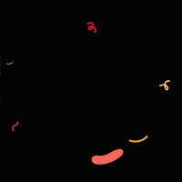 Universidad Del Valle De Puebla Fiesta GIF by UVP