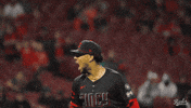 Celebration Baseball GIF by Cincinnati Reds