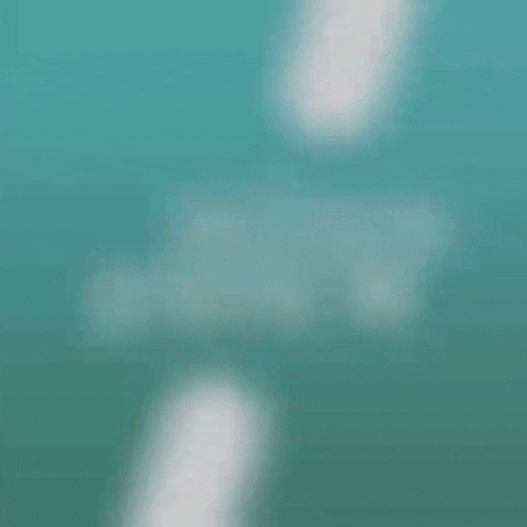 AbyaYalaDigital giphygifmaker urgente abya yala GIF