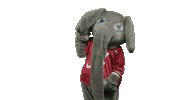 Alabama Football Point Sticker by The University of Alabama