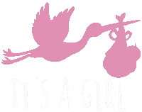 Baby Girl Stork Sticker