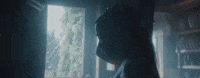 kacey musgraves GIF