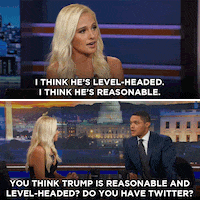 GIF by The Daily Show with Trevor Noah