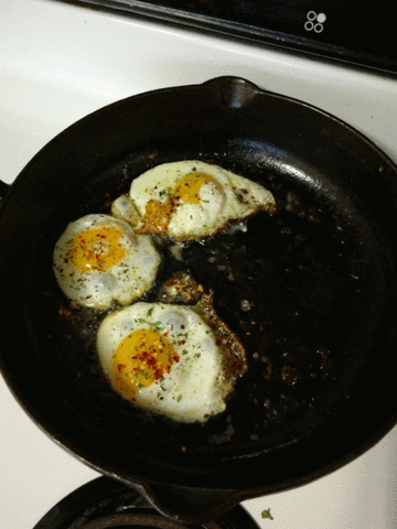 eggs GIF