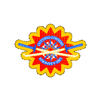 Fernando Alonso Racing Sticker