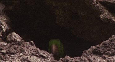 bird parakeet GIF by Head Like an Orange