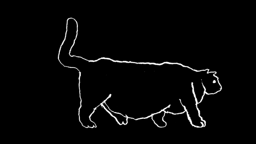 cat walk GIF by zekkereya