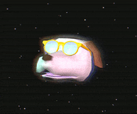 space dog GIF by jjjjjohn