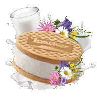 Summer Gelato Sticker by loacker