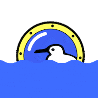 Water Sea Sticker by newhollandisland