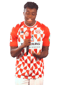 Bundesliga Happy Dance Sticker by 1. FSV Mainz 05