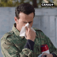 Pierre Niney Lol GIF by CANAL+