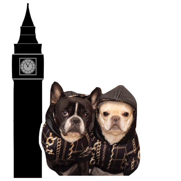 London Frenchie Bulldog Sticker by frenchiepetsupply